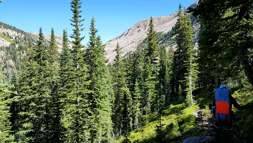 20160820_101701-ANIMATION