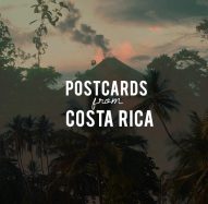 12573117_212762529066620_8512587301471556983_n