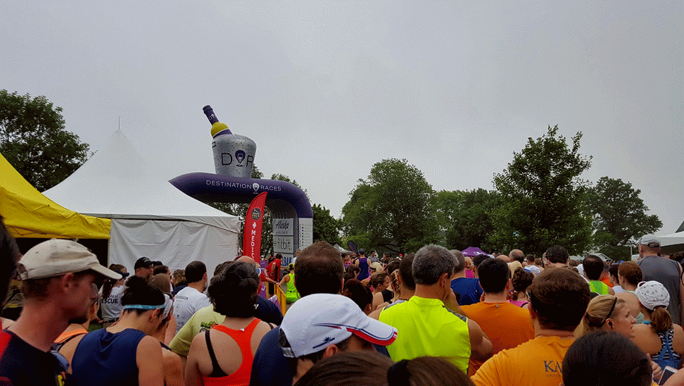 20160604_065503-ANIMATION