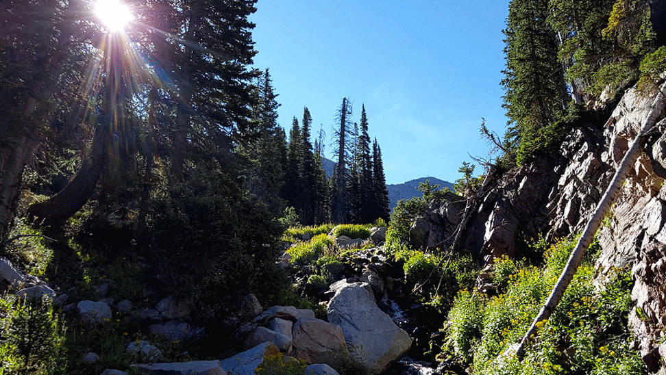 20160821_092443-ANIMATION