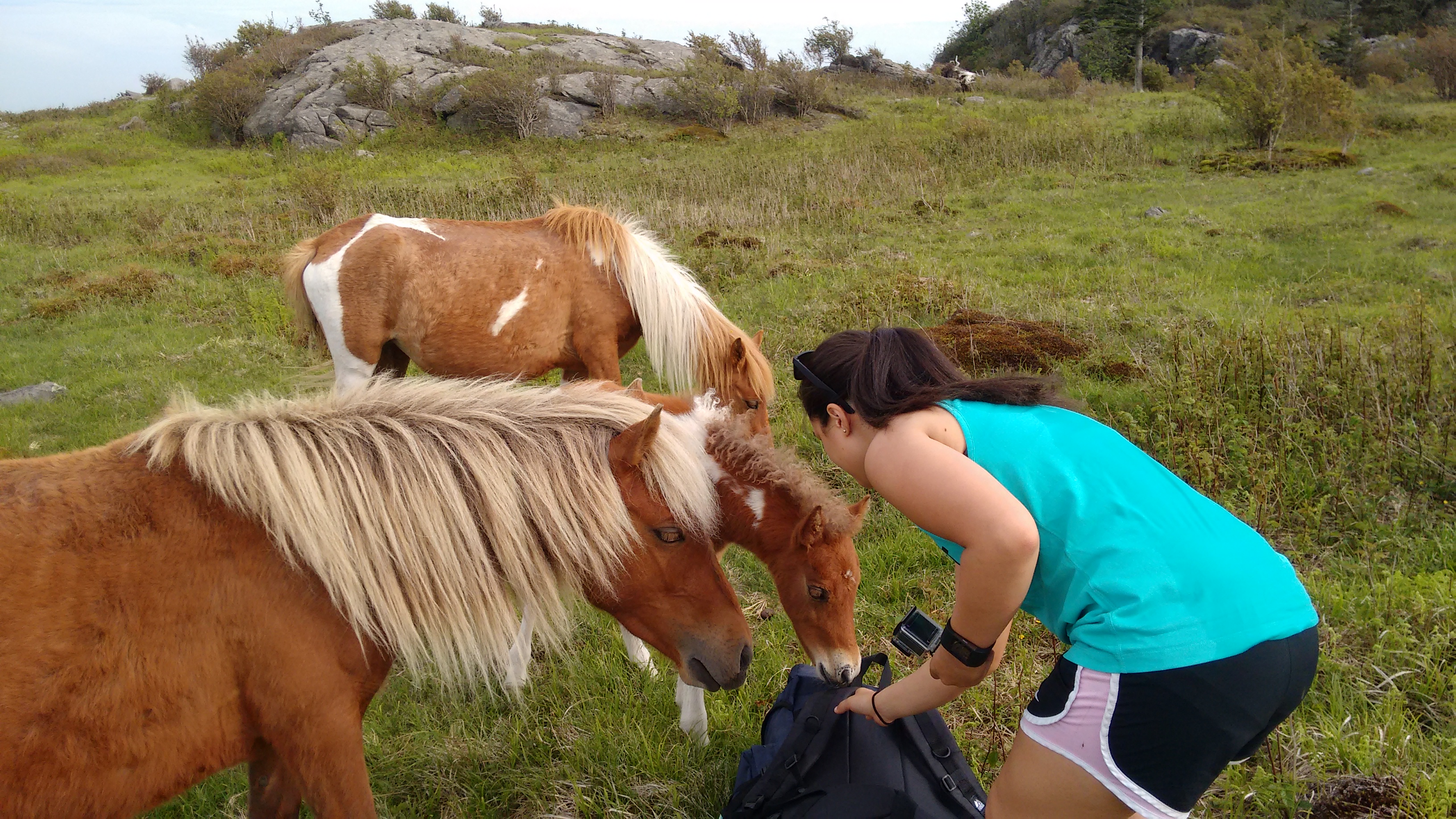 img_20160528_173158798