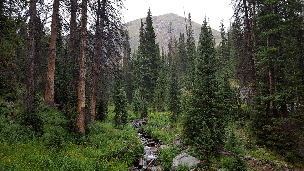 20160819_164716-ANIMATION