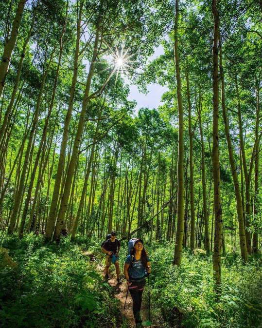 FB_IMG_1472082508654(1)