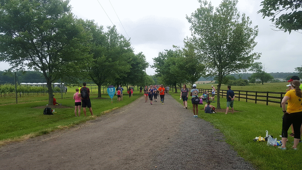 20160604_094525-ANIMATION