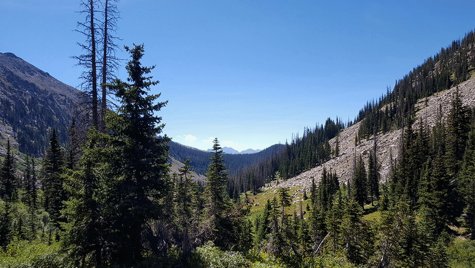 20160820_111621-ANIMATION