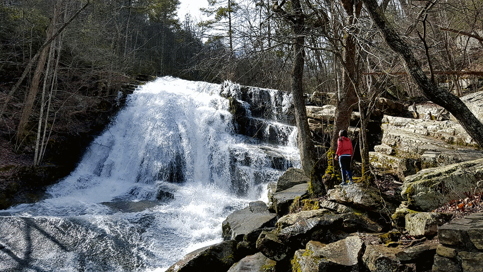 20160227_115959-ANIMATION