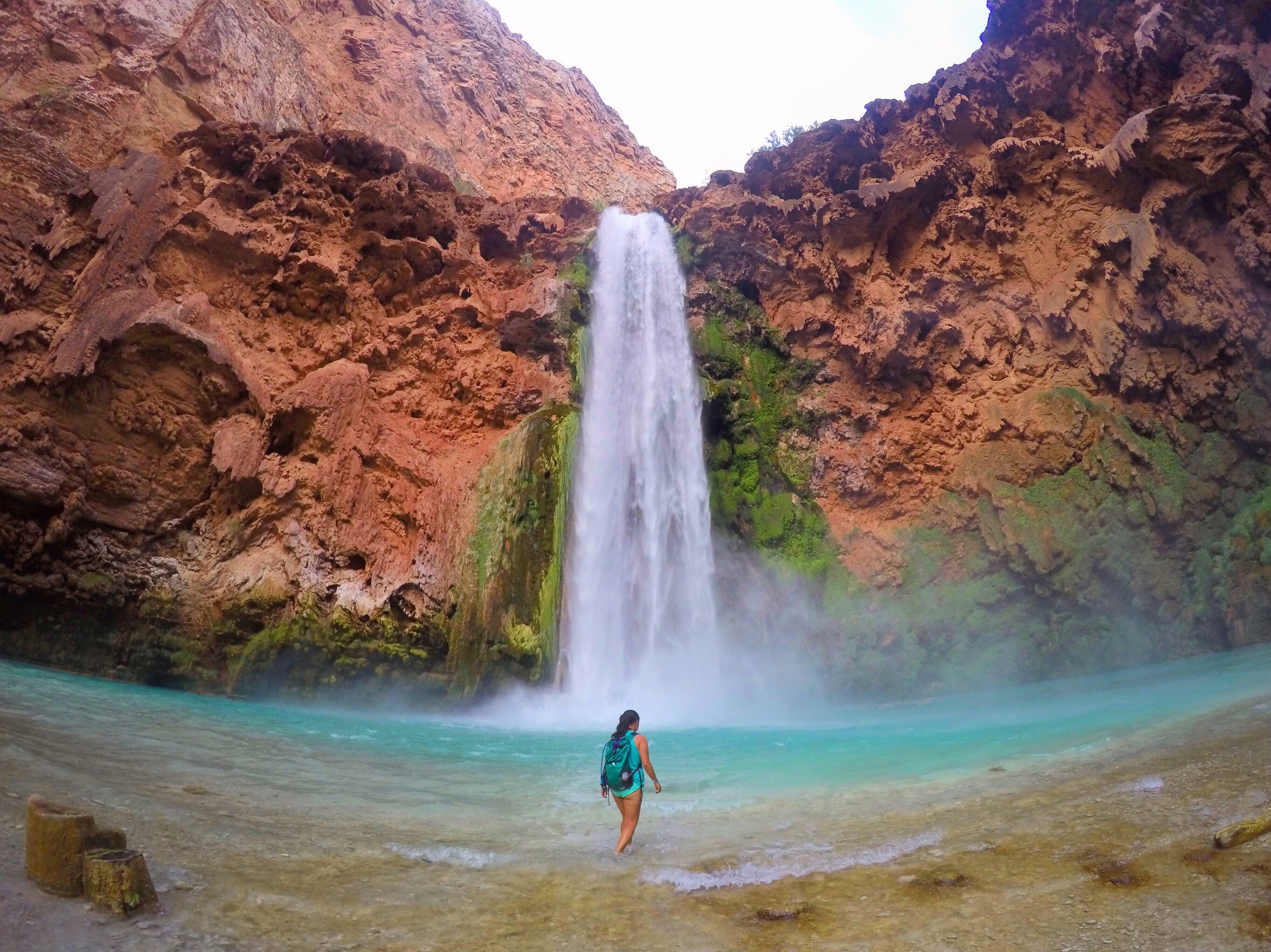 Araseae sp. Kapuas Hulu マハカム川上流域 1 The Magical Waterfalls of the Havasupai Indian Reservation