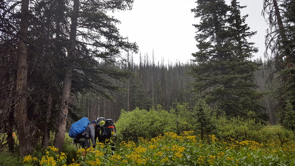 20160819_164840-ANIMATION