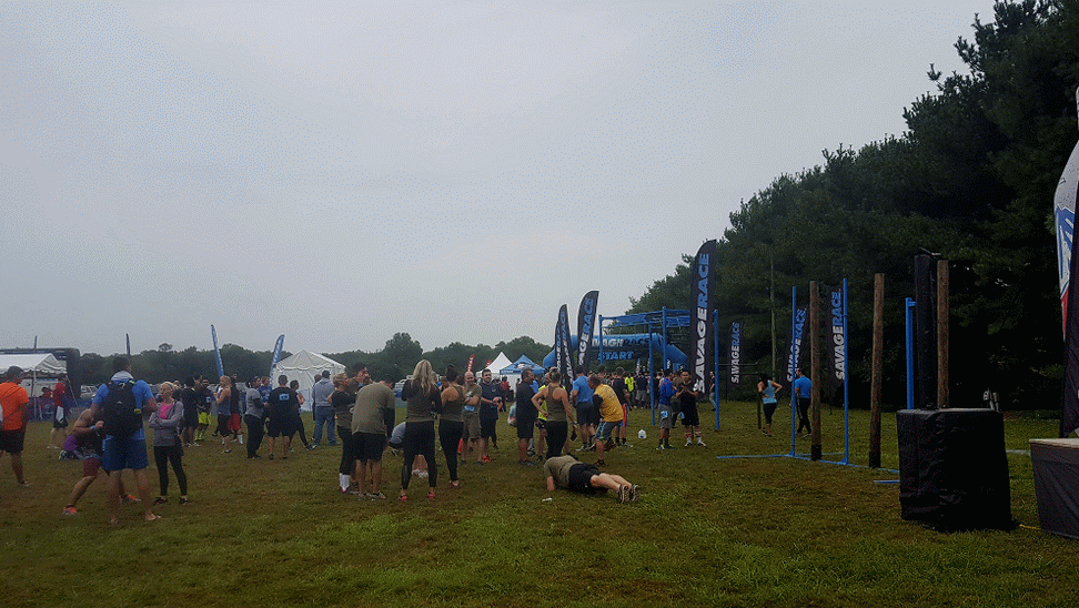 20161008_110433-animation