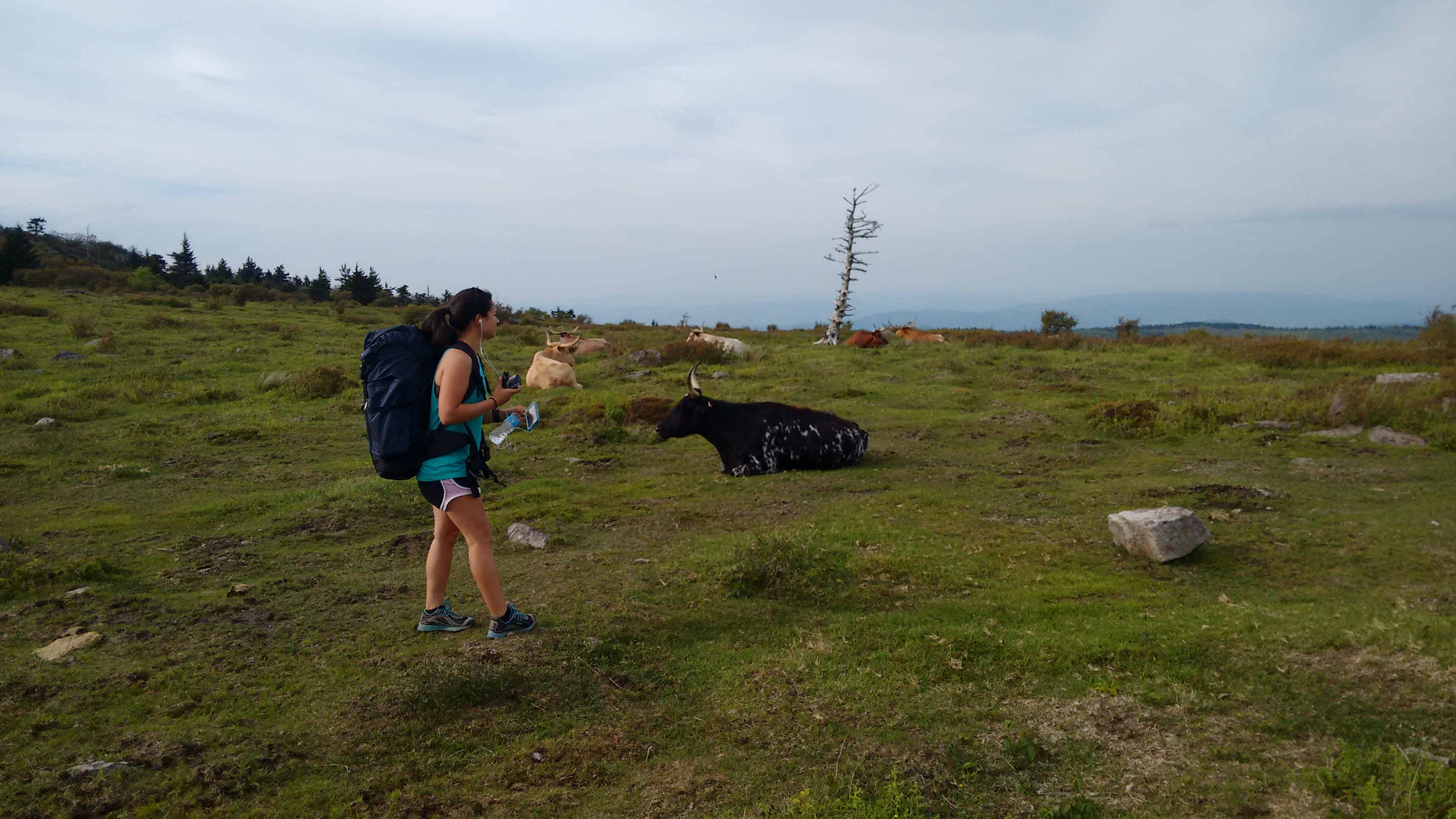 img_20160528_180549536